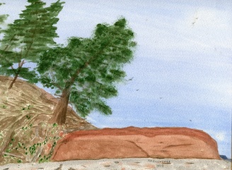 Picture