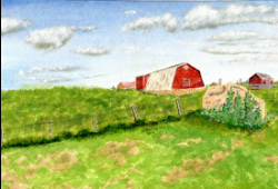 Picture