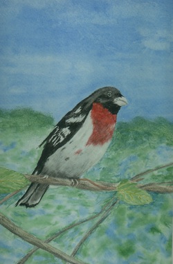 Picture